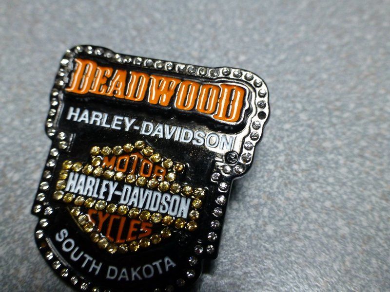 Placchette & Badge: PIN PINS HARLEY DAVIDSON HOG ABZEICHEN CHAPTER V-TWIN – Usato da Gränichen venduto da Jumbo77 7