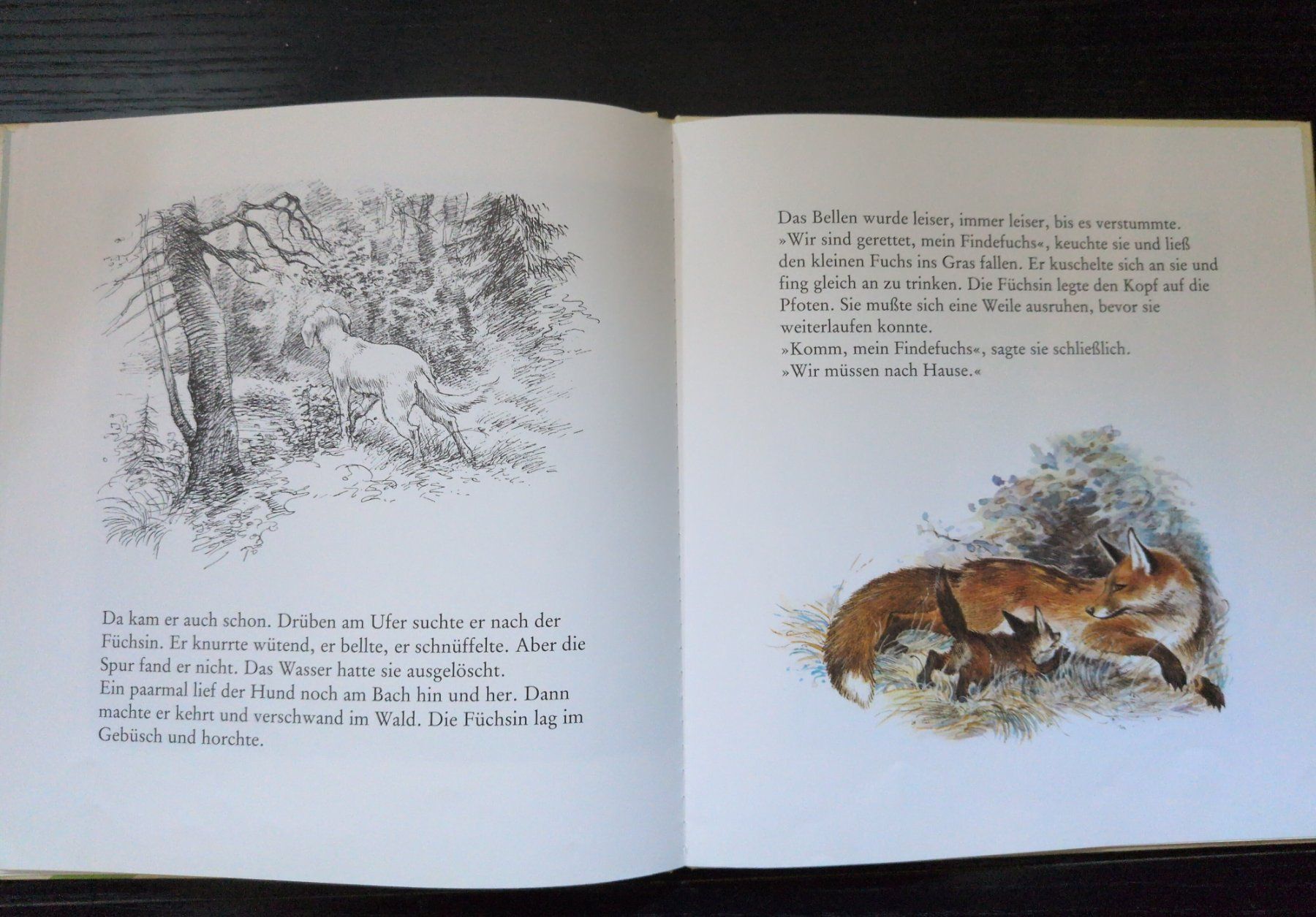 Bücher: Der Findefuchs – Neu (gemäss Beschreibung) aus Ottikon von sobsale 2