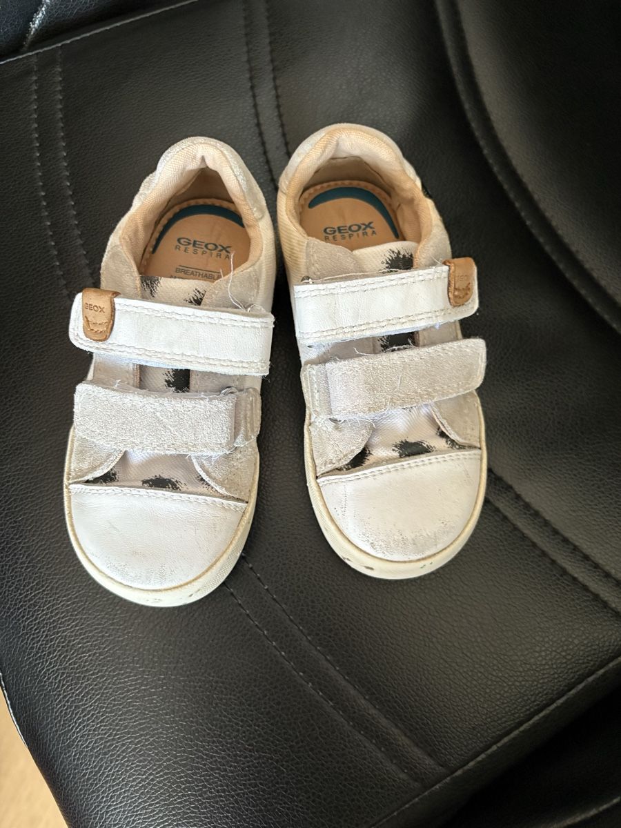 Geox Scarpe per ragazzi: Chaussures panda – Usato da Torgon venduto da k-ro919 1