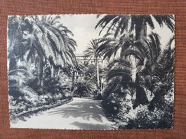 1951, Postkarte von Nervi nach Winterthur