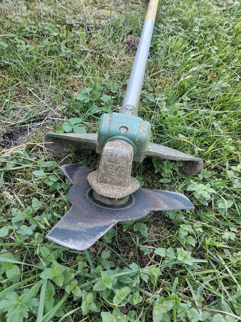 Bosch Rasenmäher: Bosch Trimmer – Gebraucht aus Schönengrund von koli21 1