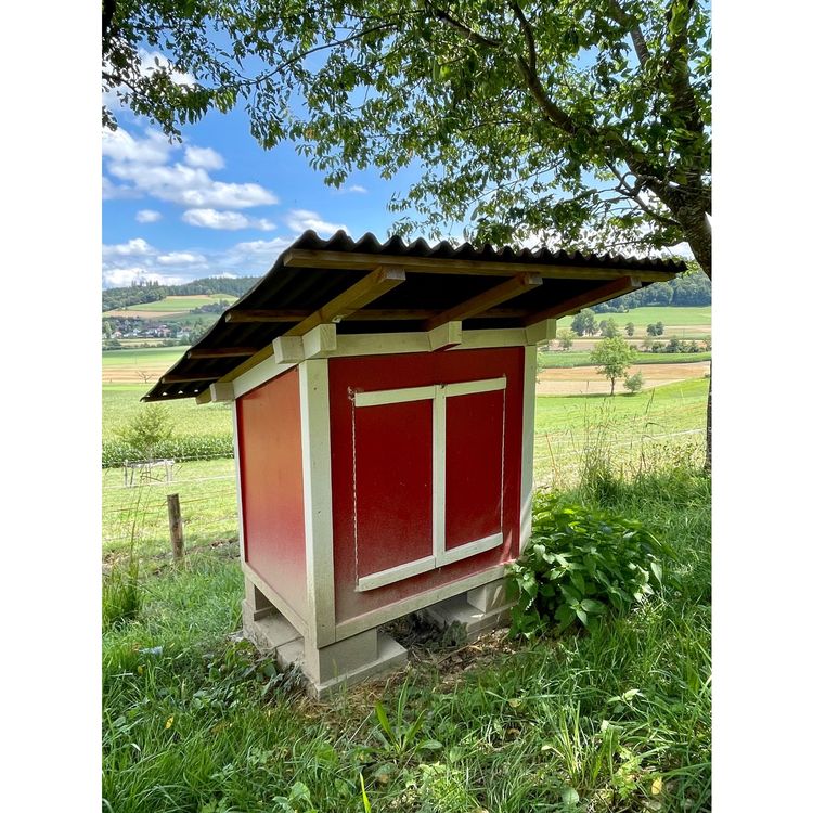 Ostheimer Hühnerhaus 3520 – Aus Holz, 23x17x21 Cm, Für Kinder, Naturbelassenes Spielzeug, Made In Germany
