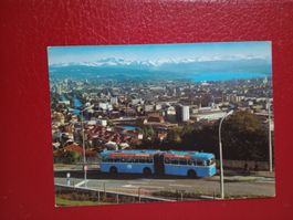 Zürich von der Waid gesehen Stadtbus Zürichsee