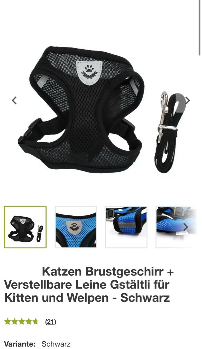 Guinzagli & Collari: Schwarzes Katzengstältli mit Leine – Nuovo e nell'imballaggio originale da Muri b. Bern venduto da yar_r5jk