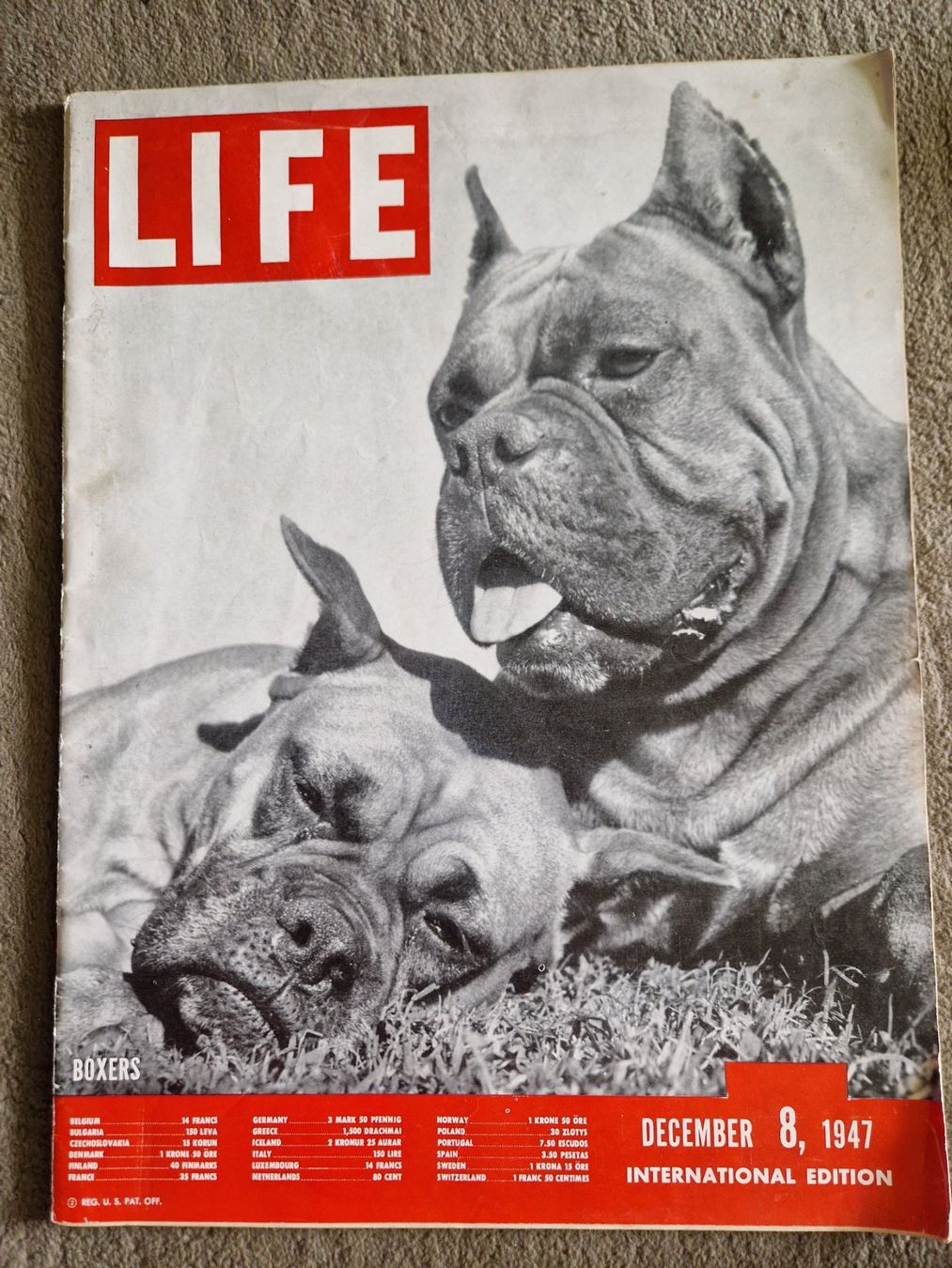 Riviste & Magazine: Life Magazin 1955 – Usato da Mörschwil venduto da lindaswunderkiste 9