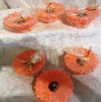 8 Kerzenblumen stark rosa/orange, 9 - 11 cm