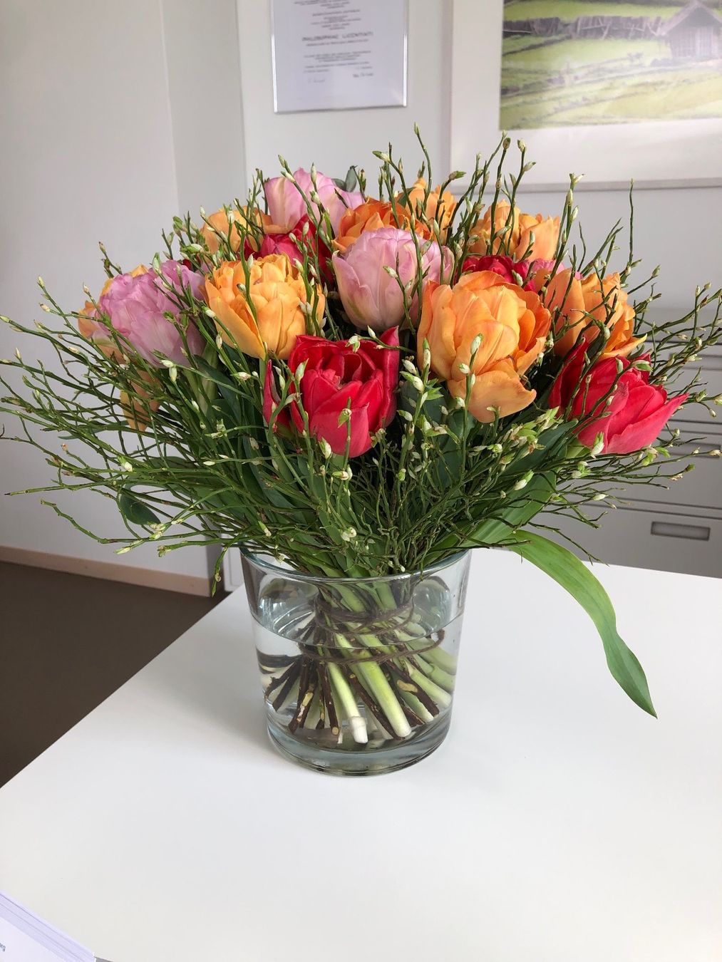 Vasi & Recipienti: Wunderschöne design Glasvase 16 cm hoch, 18 cm Durchmesser – Nuovo e nell'imballaggio originale da Weissbad venduto da Studently