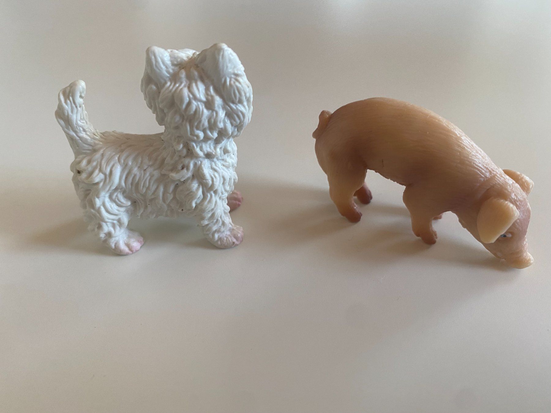 Schleich Statuette: Schleich - Pudel - und - Ferkel – Usato da Gelterkinden venduto da ajdt4 1