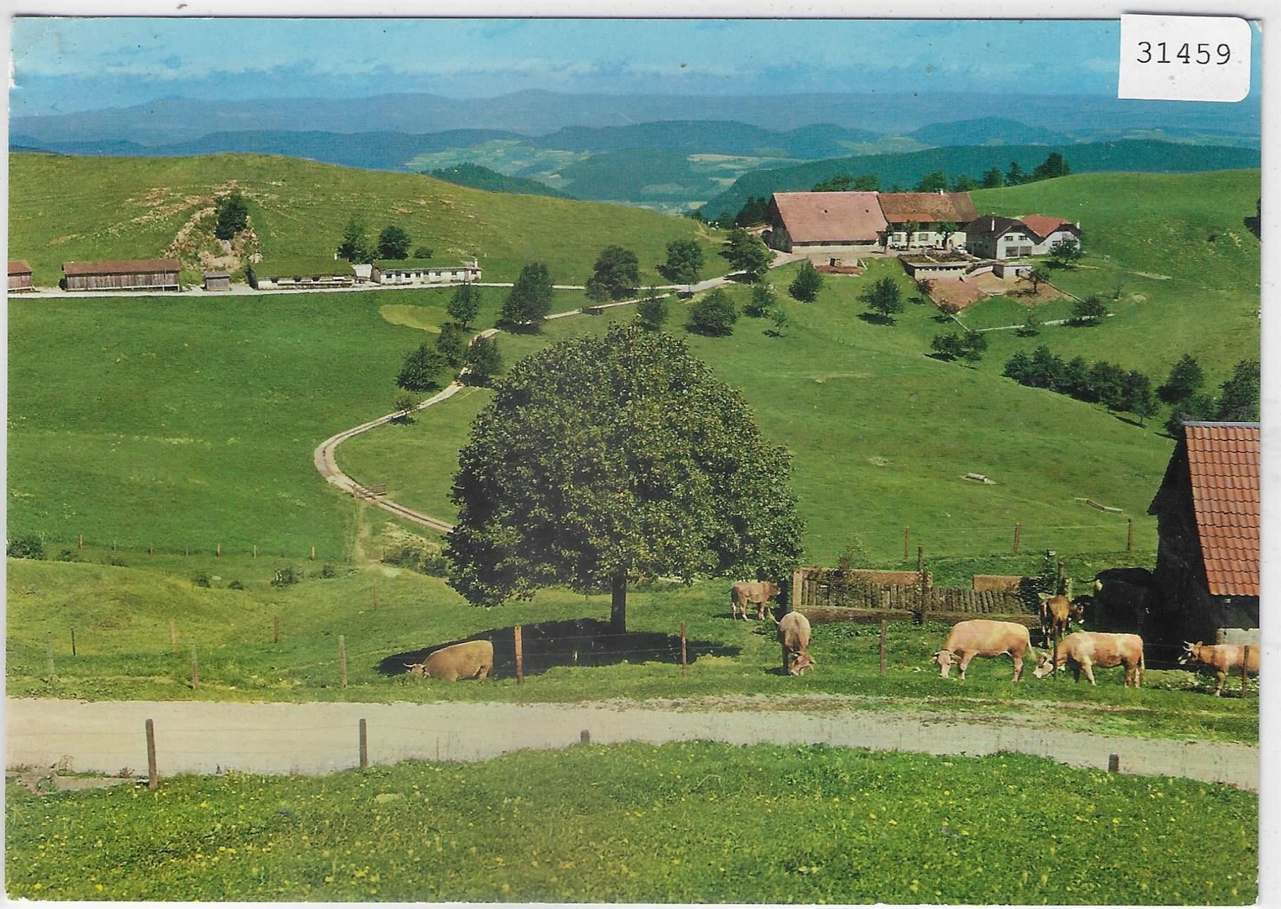 Ansichtskarten: Berghaus Ober-Bölchen bei Eptingen – Gebraucht aus Ettingen von Kartenplanet