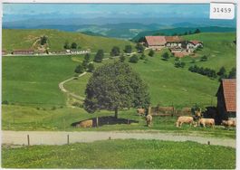 Berghaus Ober-Bölchen bei Eptingen