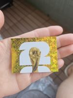 Panini 
