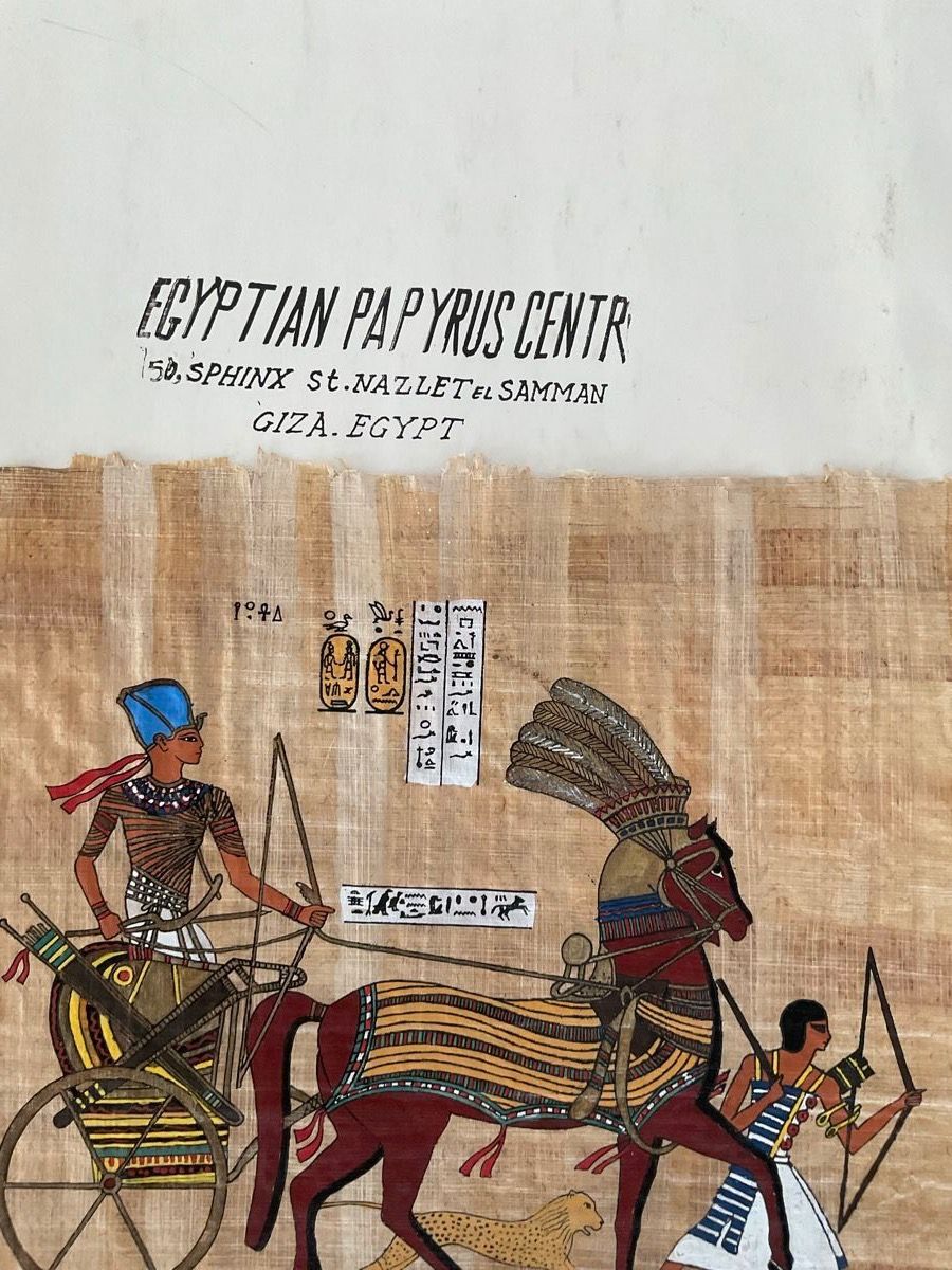Foto & Immagini: Papyrus Ägypten – Usato da Bülach venduto da Berimbau0 2
