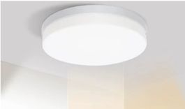 LED Deckenleuchte Φ30cm 48W Neutralweiss – Plafonnier LED