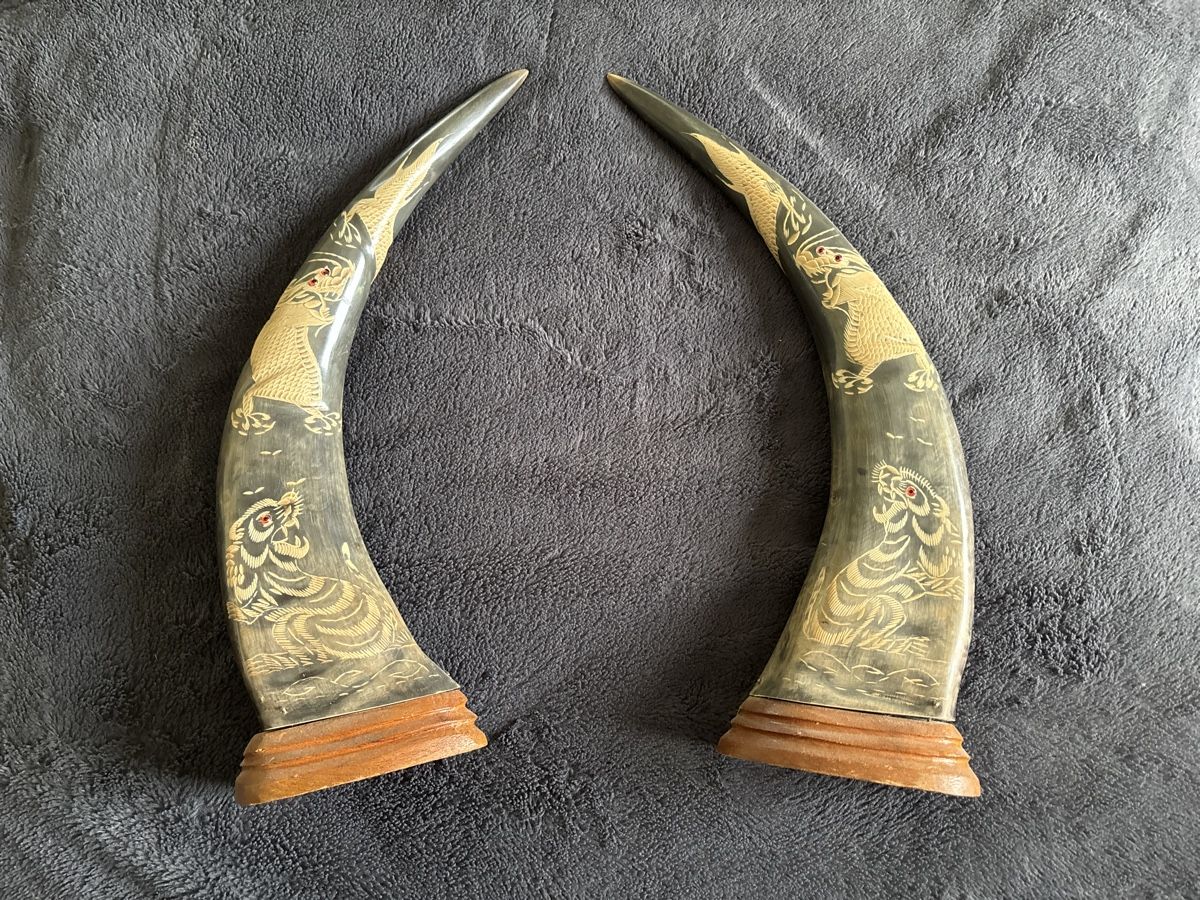 Tutte le decorazioni: Cornes de Buffle ORIGINAUX 2 pièces  – Usato da Bussigny venduto da Numk