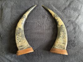 Cornes de Buffle ORIGINAUX 2 pièces 