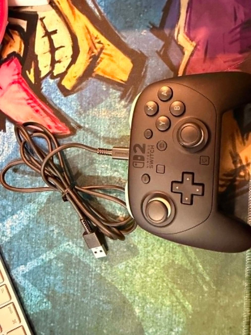 Nintendo Controller: Nintendo Switch 2 Pro Controller – Usato da Giubiasco venduto da Ticinerd