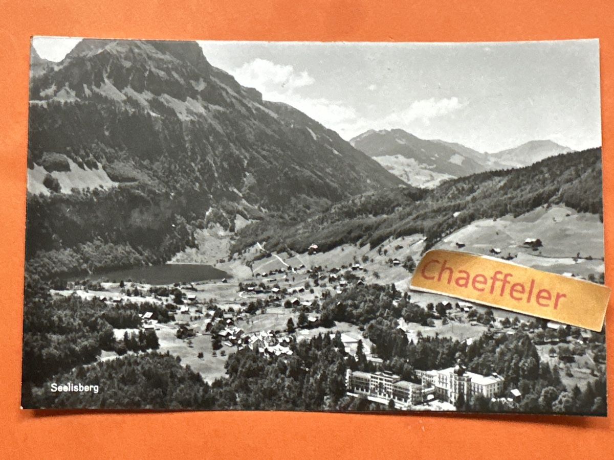 Cartoline postali: Seelisberg – Usato da Zürich venduto da Chaeffeler