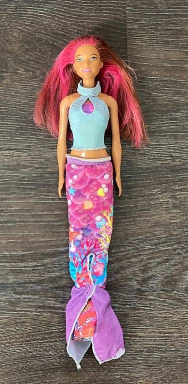 Bambole: Barbie's mit zubehör – Usato da Bäretswil venduto da Leatherman 1
