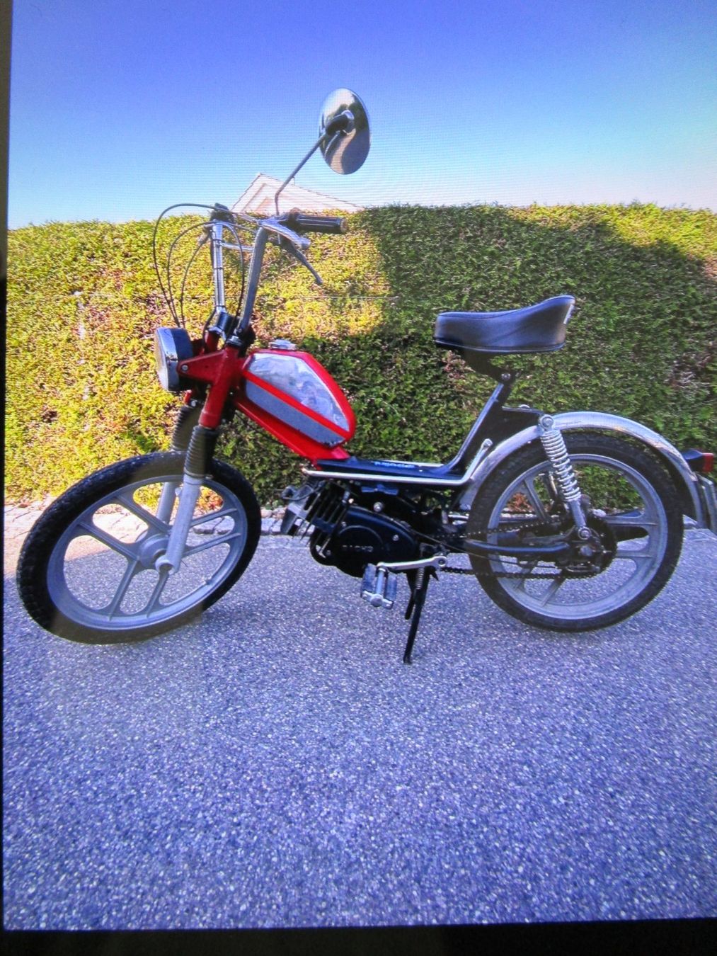 Pony Mofas: Pony Sachs 503 GTX KAT – Gebraucht aus Mörschwil von leg_yrn8 3