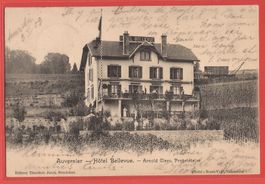 Auvernier - Hôtel Bellevue mit Rebberg / Weinbau - 1903