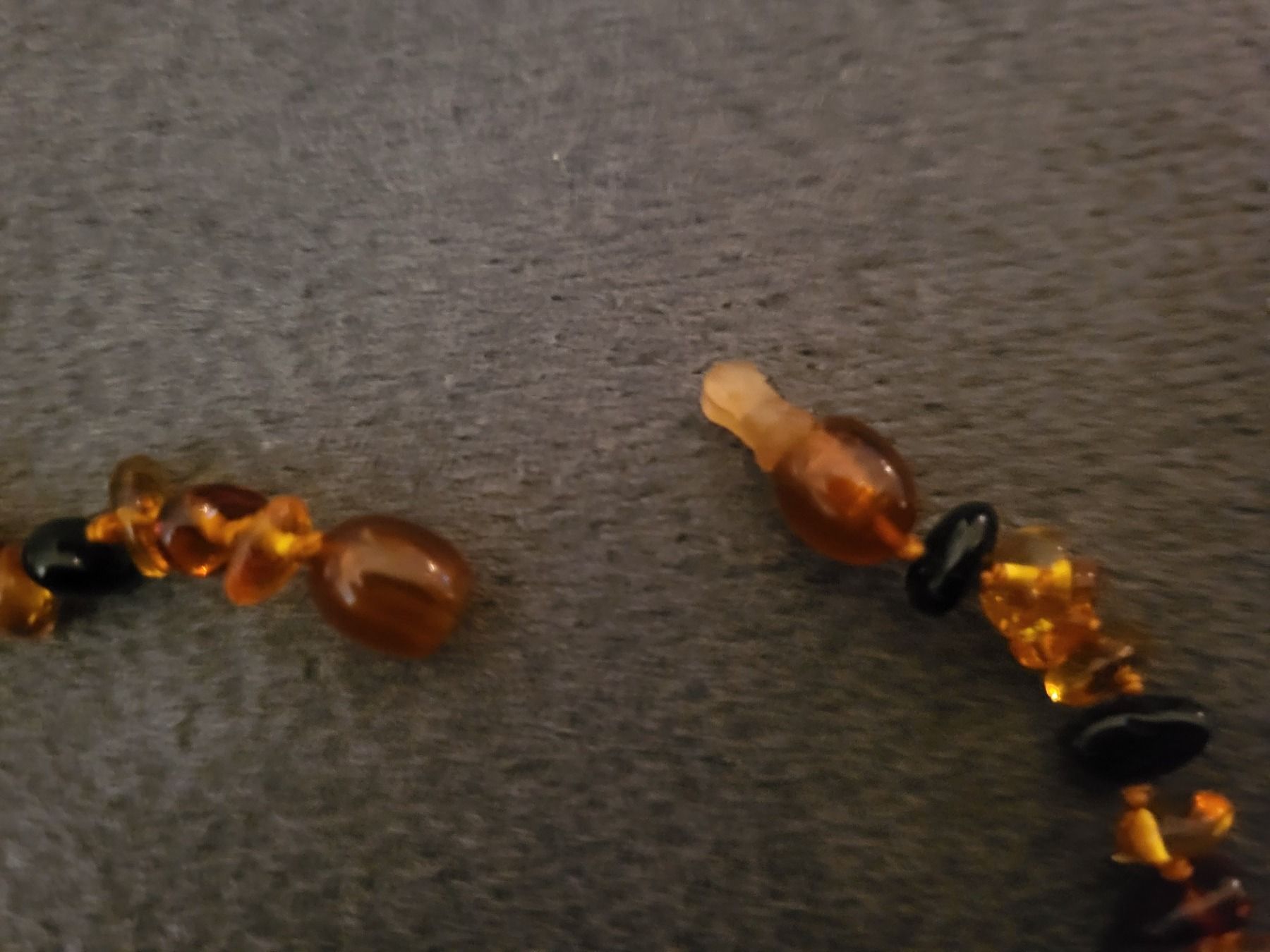 Catenine: Bernsteinkette auch für Hunde – Nuovo (secondo la descrizione) da Gutenswil venduto da ghekko88 2