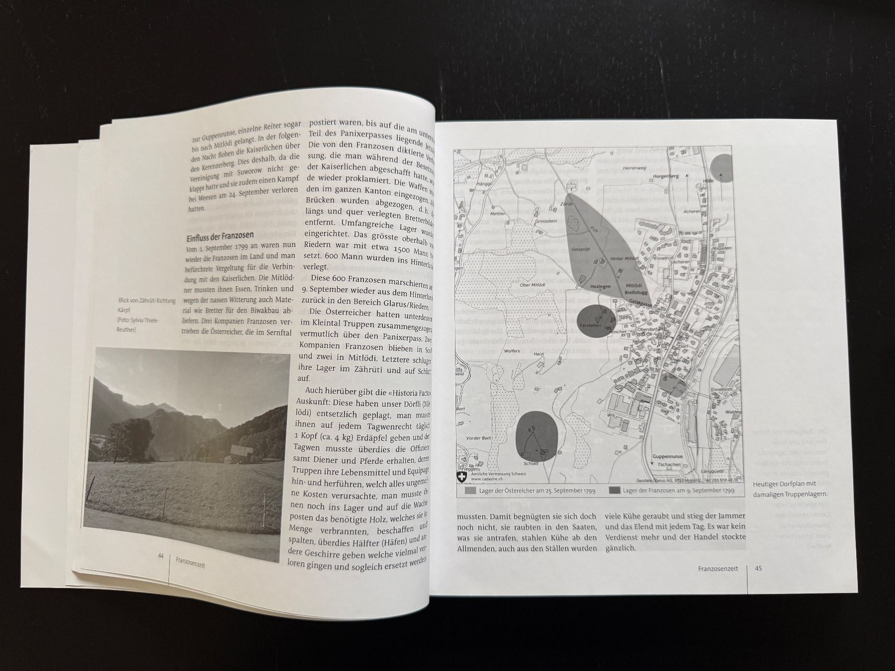 Bücher: Neujahrsbote Glarus Süd 2017 - Lokale Geschichte Schweiz – Gebraucht aus Erstfeld von Mario_boe0 2