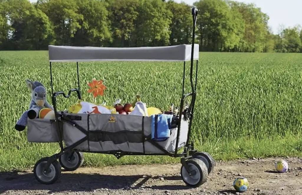 Carrelli di trasporto: Pinolino Paxi Bollerwagen – Usato da Dübendorf venduto da Premium-Cars 1