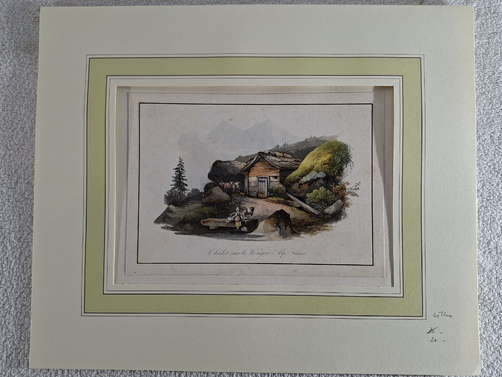 Incisioni: Lot 22, 5 Stiche – Usato da Grindelwald venduto da carro5 8
