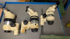 Microscope Wild