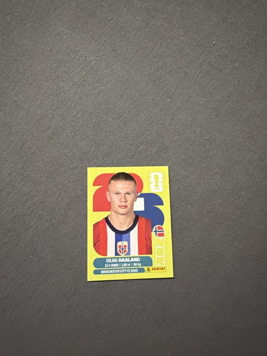 Panini Carte collezionabili: WM Panini Erling Haaland – Nuovo e nell'imballaggio originale da Zwingen venduto da M.Krichel_18
