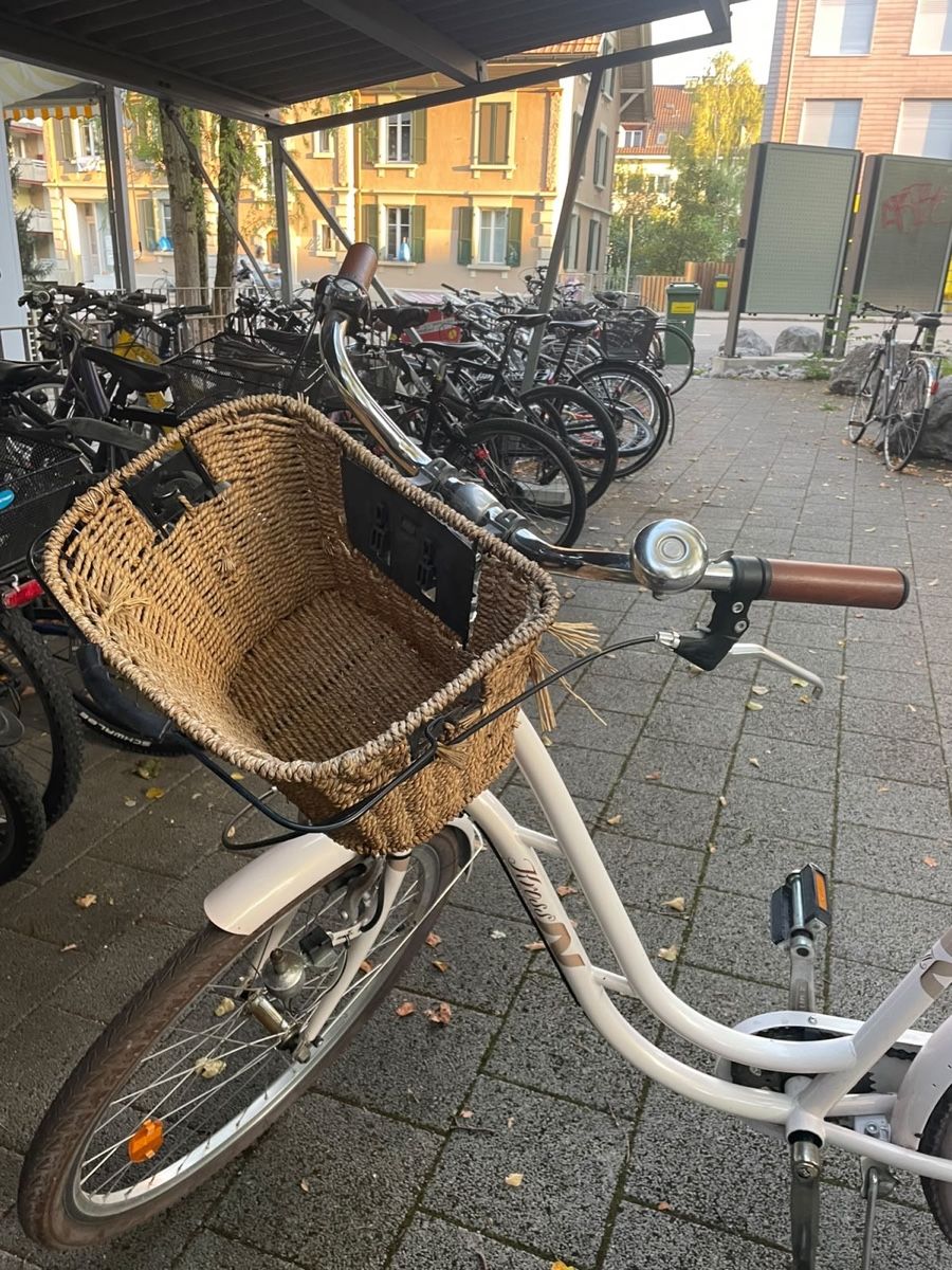 Biciclette: Damenvelo weiss – Usato da Bütschwil venduto da Besail99 2
