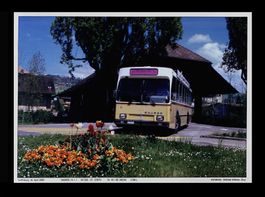 Steffisburg Thun Bus STI Saurer SH560-25 Foto PC-Ausdruck A4