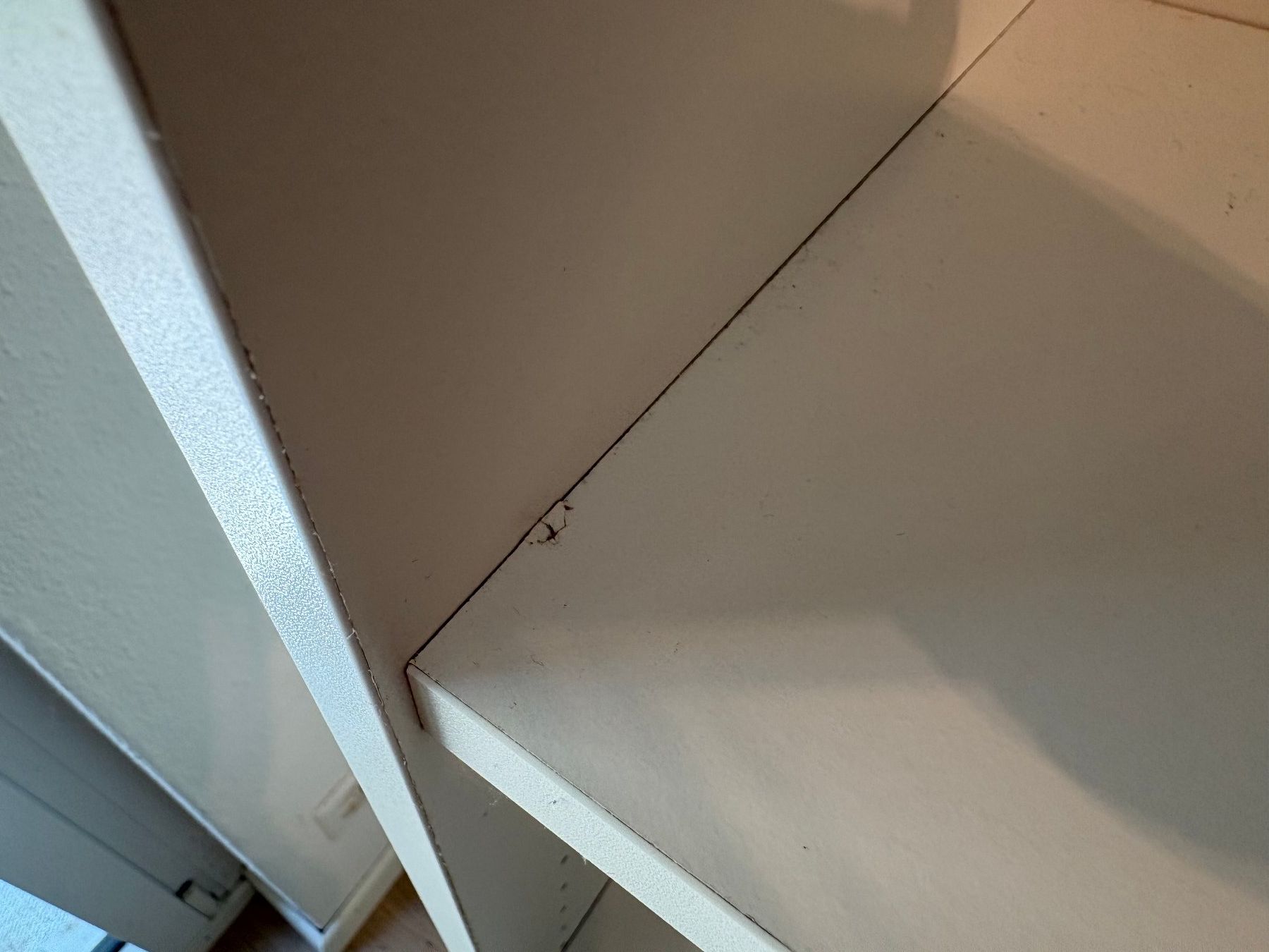 Ikea Étagères: 2x Ikea BILLY Bücherregal – D'occasion à Zürich par zanili 5
