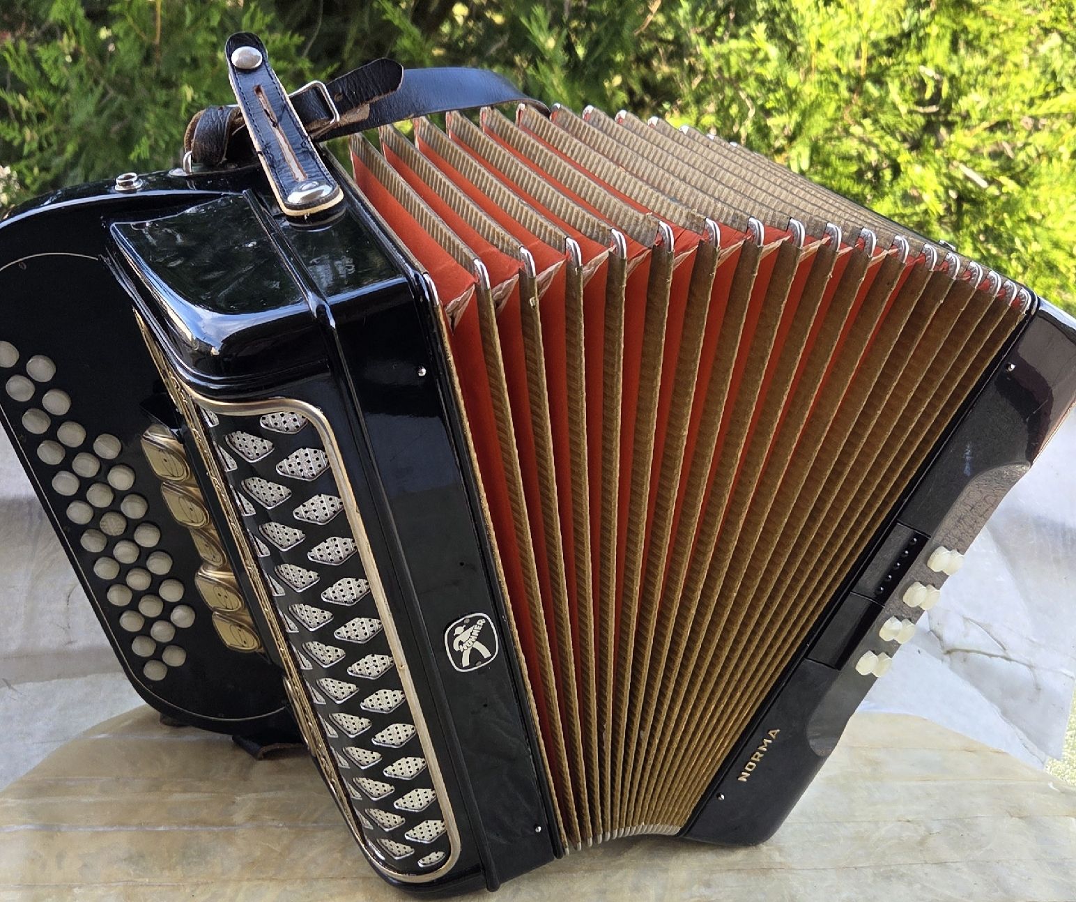 Hohner Strumenti musicali: hohner Norma III de luxe – Usato da Penthalaz venduto da EvandroLuz 2