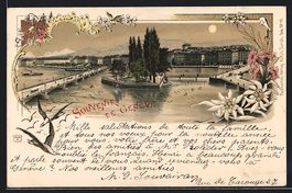 Litho Geneve, Totalansicht aus der Vogel