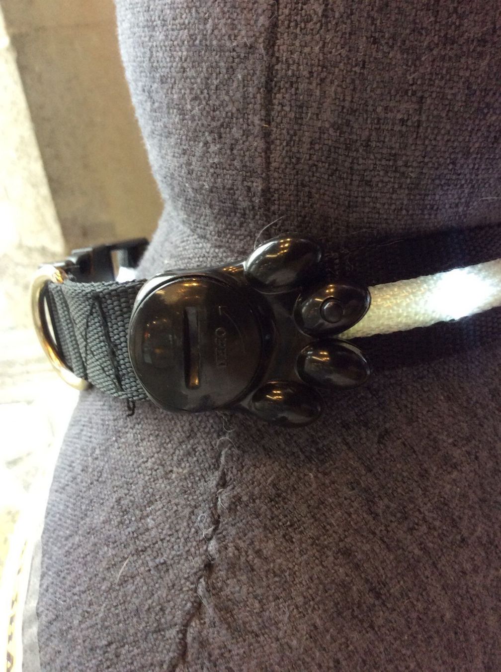Guinzagli & Collari: LED Hunde Halsband NEU – Nuovo (secondo la descrizione) da Nidau venduto da Beritundpan 2