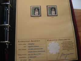 Abart "Berner Sennenhund" ** 2007, Doppelte Schnauze