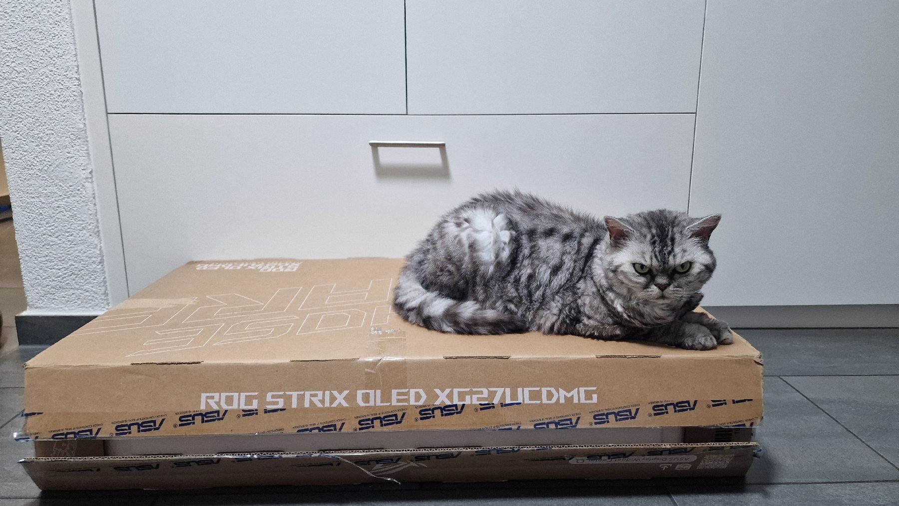 Asus Ecrans: ASUS ROG Strix OLED XG27UCDMG – D'occasion à Unterentfelden par log_b9sk 4