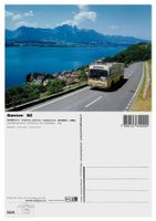 Gunten Sigriswil Thun Thunersee Bus STI Saurer SH560-25 N°51