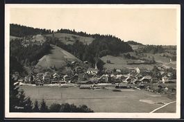 AK Signau, Ortsansicht mit Umgebung