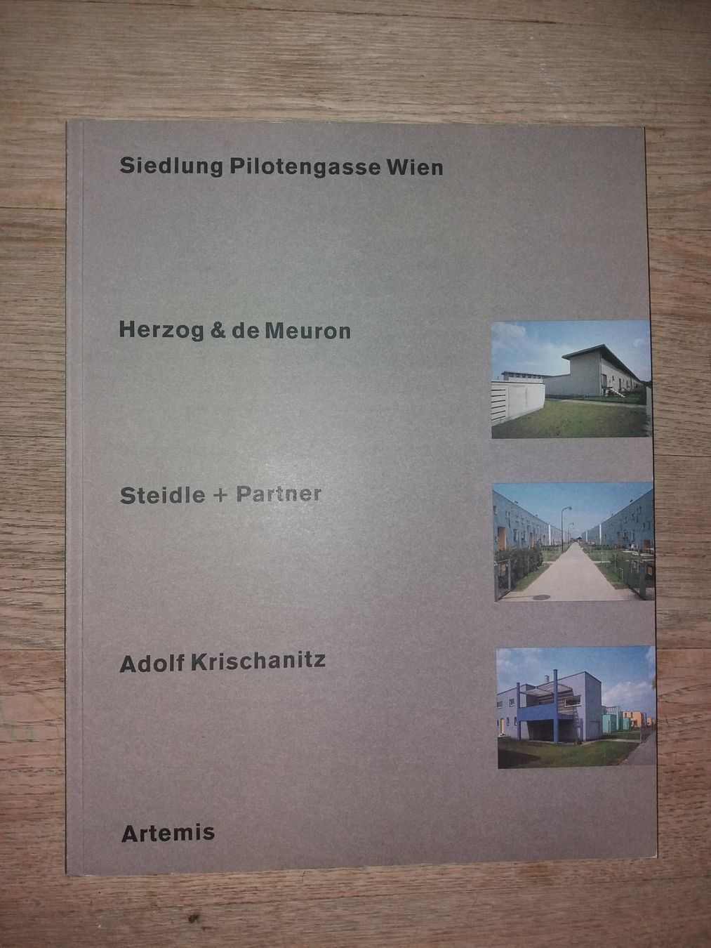 Libri: ARCHITEKTUR Herzog De Meuron STEIDLE Adolf Krischanitz – Usato da Welschenrohr venduto da Regool