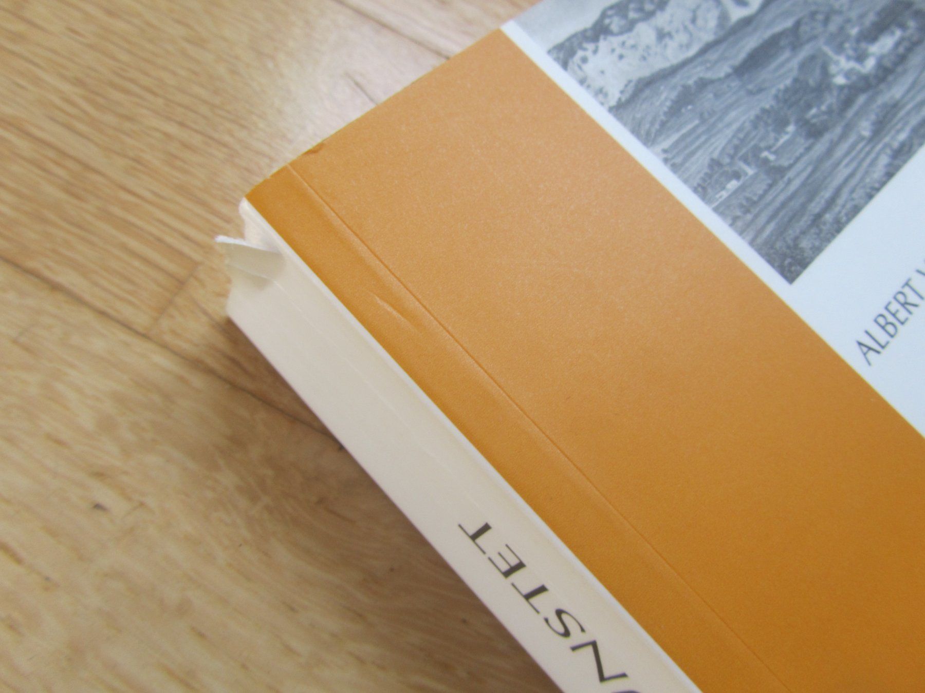 Livres: UNSTET – D'occasion à Seengen par mikelele 1