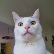 Profile image of Nicky002