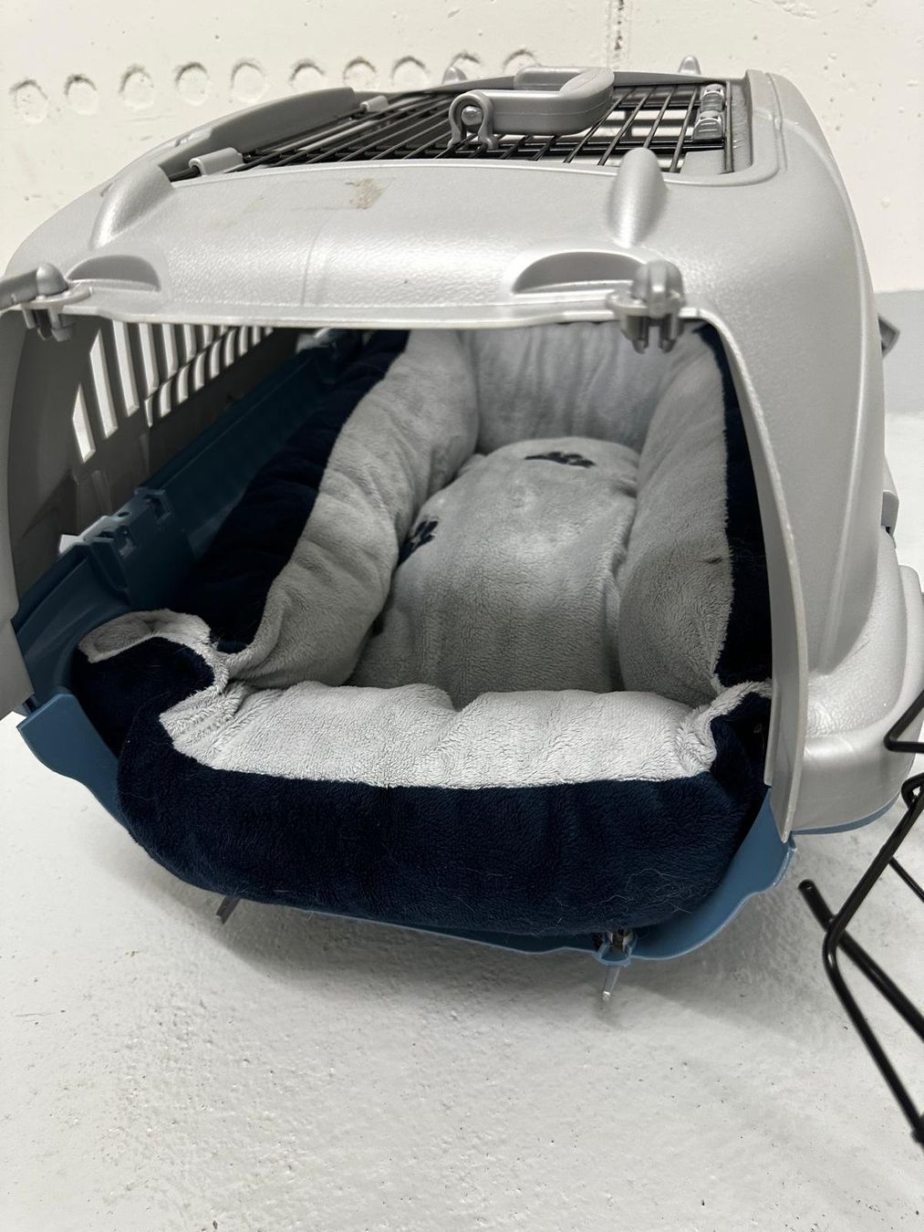 Gabbie, trasporto & Sicurezza: Transportbox für Katzen – Usato da Au ZH venduto da Exciter101 1