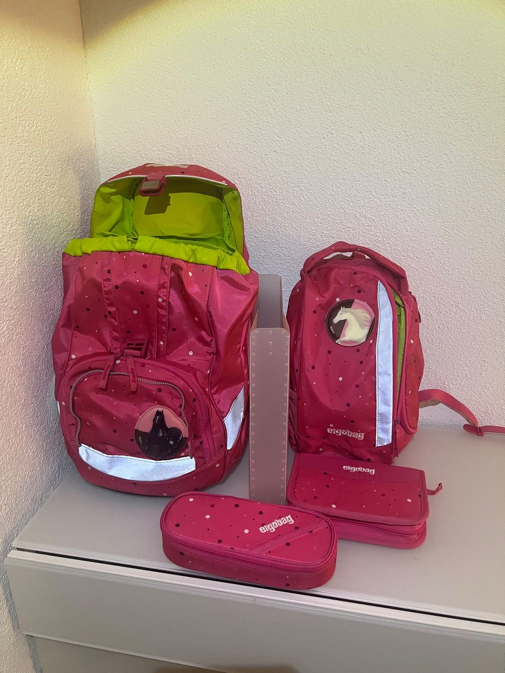 Ergobag Borse & Zaini: Ergobag Pack Schulrucksack Set Pink mit Pferd, Top Zustand! – Usato da Feldbrunnen venduto da Gianni_1970 1