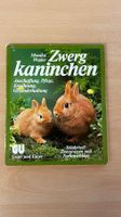 Zwergkaninchen Anschaffung, Pflege, Ernährung
