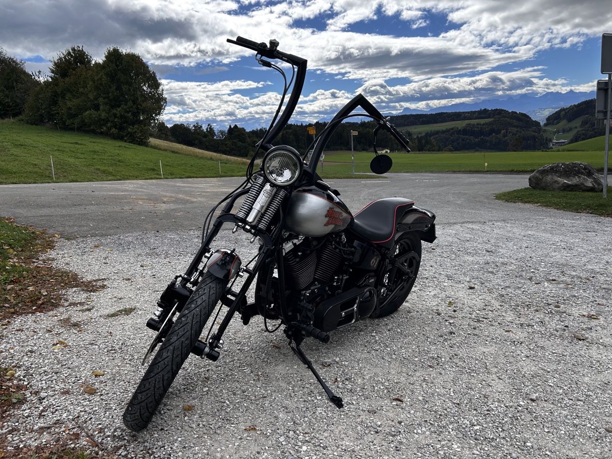 Harley-Davidson Chopper: Harley Davidson Bad Boy Springer – Usato da Ostermundigen venduto da Lexington_100