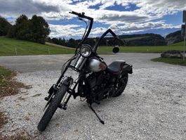 Harley Davidson Bad Boy Springer