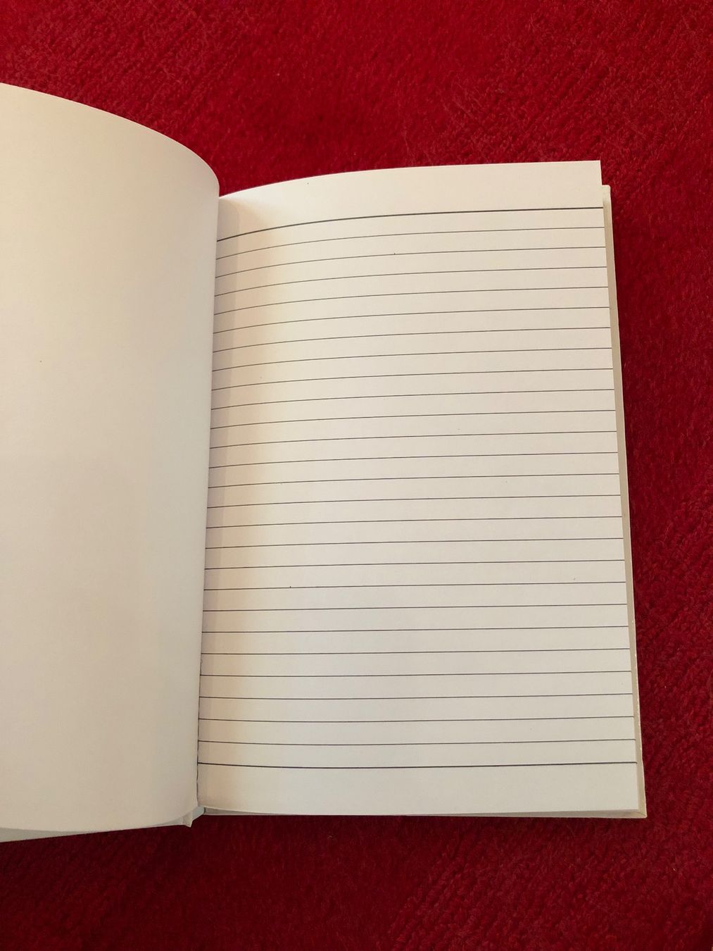 Blocchi: Neues Notizbuch mit Ahornblatt – Nuovo (secondo la descrizione) da Basel venduto da ullm 1