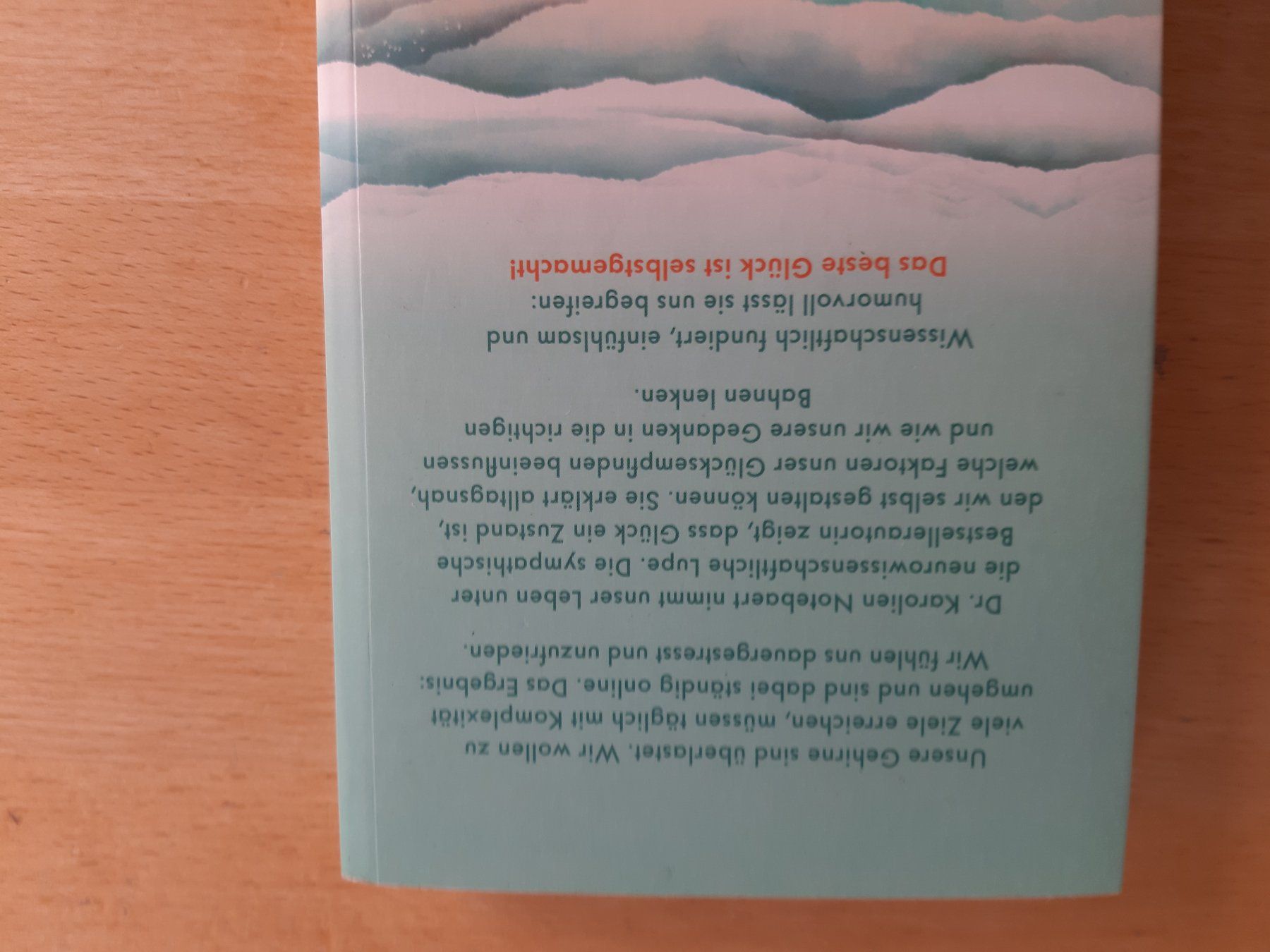 Libri: Vom Glück der richtigen Gedanken, Karolin Notebaert – Usato da Rotkreuz venduto da nigal 1